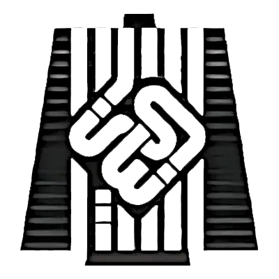 میثم حاجی حسینی آرانی