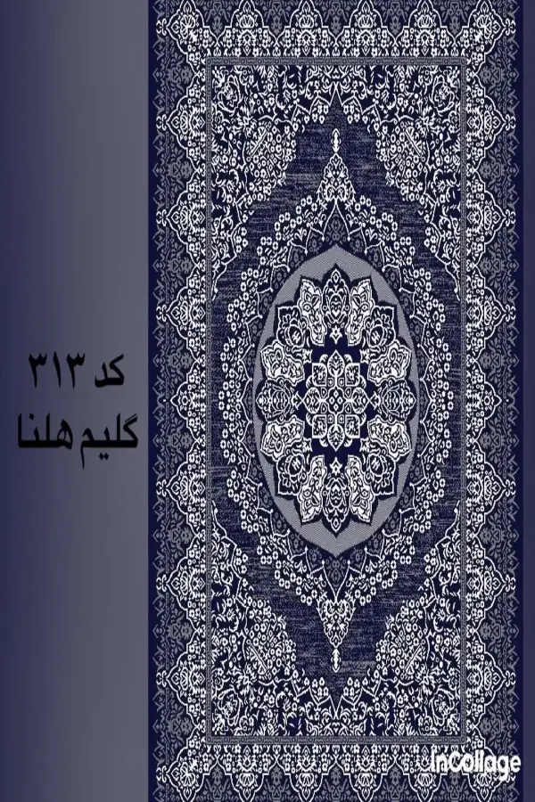 کد۳۱۳